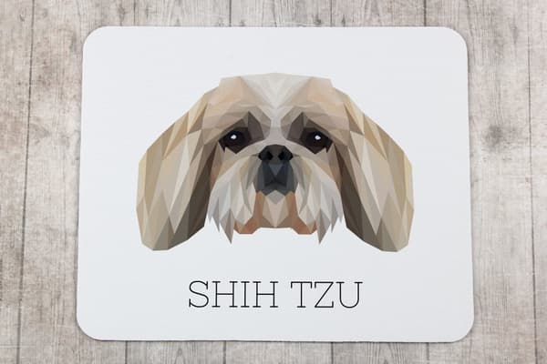 Shih Tzu, Shi tsu, Shi-Tzu, Szi-cu, Szitzu - geometrisk dyna med ett foto och inskription för Art-Dog-musen