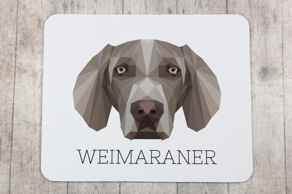 Weimaraner, Weimaraner - geometrisk pude med foto og inskription til Art-Dog-musen