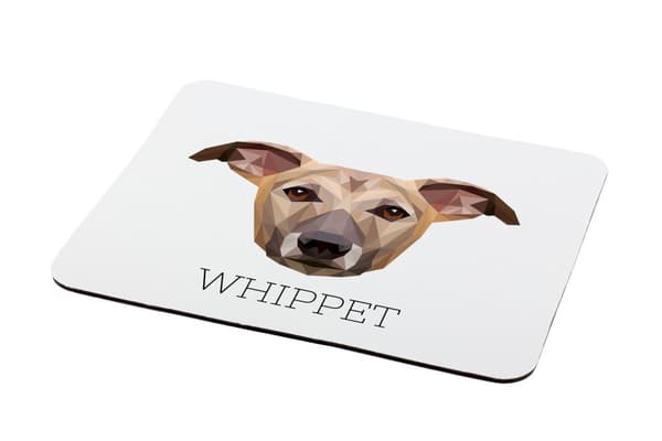 Whippet, engelsk Greyhound - en geometrisk pude med et foto og en inskription til Art-Dog-musen