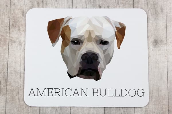 Amerikkalainen bulldog - geometrinen alusta, jossa on valokuva ja merkintä Art-Dog-hiirelle