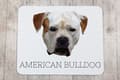 Pikkukuva 3 / 4: Amerikkalainen bulldog - geometrinen alusta, jossa on valokuva ja merkintä Art-Dog-hiirelle
