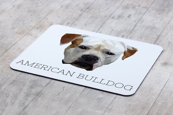 Amerikkalainen bulldog - geometrinen alusta, jossa on valokuva ja merkintä Art-Dog-hiirelle