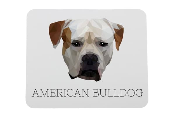 Amerikkalainen bulldog - geometrinen alusta, jossa on valokuva ja merkintä Art-Dog-hiirelle