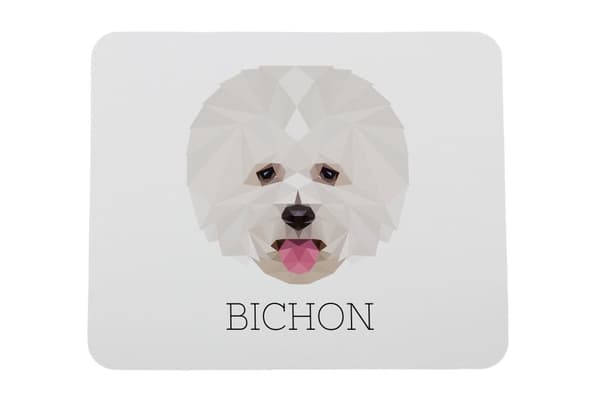 Bichon Frise, Teneriffan koira - geometrinen alusta, jossa on valokuva ja merkintä Art-Dog-hiirelle