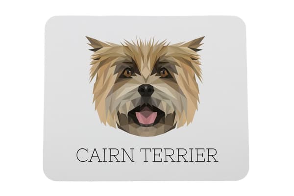 Cairn Terrier - en geometrisk pude med et foto og en inskription til Art-Dog-musen