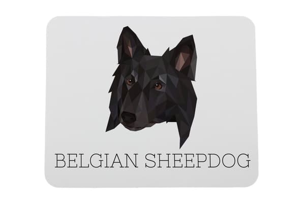 Belgisk hyrdehund, belgisk bjerghund - geometrisk pude med foto og inskription til Art-Dog-musen