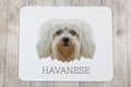 Miniatyrbild 3 av 4: Havanese, Havanese - en geometrisk dyna med ett foto och en inskription för Art-Dog-musen