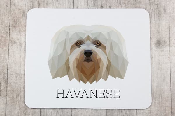 Havanese, Havanese - en geometrisk dyna med ett foto och en inskription för Art-Dog-musen