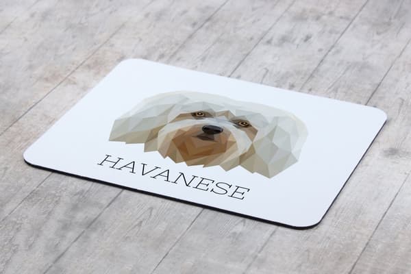 Havanese, Havanese - en geometrisk dyna med ett foto och en inskription för Art-Dog-musen