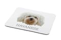 Miniatyrbild 2 av 4: Havanese, Havanese - en geometrisk dyna med ett foto och en inskription för Art-Dog-musen