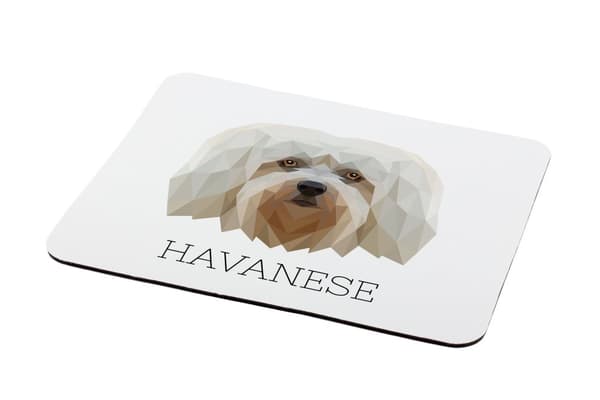 Havanese, Havanese - en geometrisk dyna med ett foto och en inskription för Art-Dog-musen