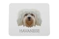 Miniatyrbild 1 av 4: Havanese, Havanese - en geometrisk dyna med ett foto och en inskription för Art-Dog-musen