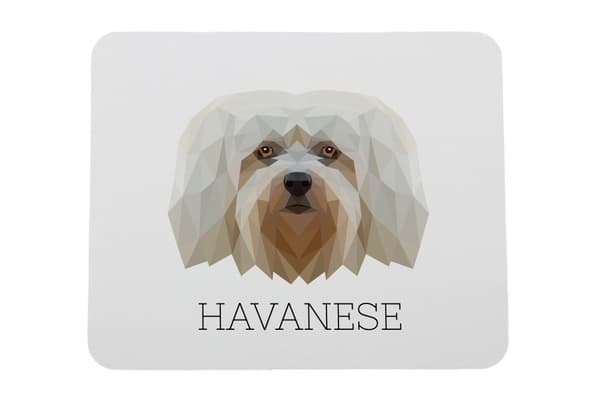 Havanese, Havanese - en geometrisk dyna med ett foto och en inskription för Art-Dog-musen