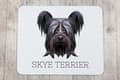 Pikkukuva 3 / 4: Skye Terrier - geometrinen alusta, jossa on valokuva ja merkintä Art-Dog-hiirelle