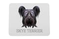 Pikkukuva 1 / 4: Skye Terrier - geometrinen alusta, jossa on valokuva ja merkintä Art-Dog-hiirelle