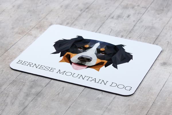 Berner Sennenhund, Berner Sennenhund - geometrisk pude med foto og inskription til Art-Dog musen