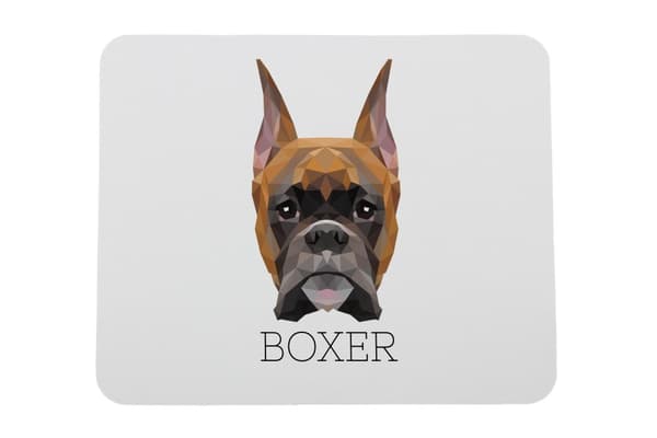Boxer, Boxer I - geometrinen alusta, jossa on valokuva ja merkintä Art-Dog-hiirelle