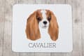 Pikkukuva 3 / 4: Cavalier King Charles Spaniel - geometrinen alusta, jossa on valokuva ja kirjoitus Art-Dog-hiirelle