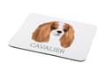 Pikkukuva 2 / 4: Cavalier King Charles Spaniel - geometrinen alusta, jossa on valokuva ja kirjoitus Art-Dog-hiirelle