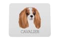 Pikkukuva 1 / 4: Cavalier King Charles Spaniel - geometrinen alusta, jossa on valokuva ja kirjoitus Art-Dog-hiirelle