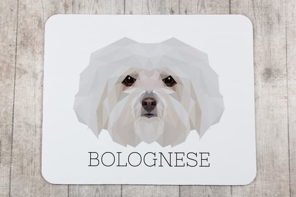 Bolognese, Bolognese - en geometrisk dyna med ett foto och en inskription för Art-Dog-musen