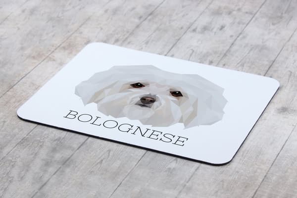 Bolognese, Bolognese - en geometrisk dyna med ett foto och en inskription för Art-Dog-musen