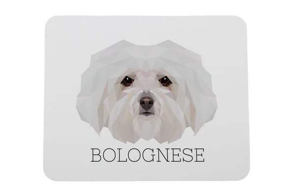 Bolognese, Bolognese - en geometrisk dyna med ett foto och en inskription för Art-Dog-musen