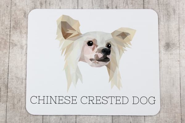 Chinese Crested Dog - en geometrisk dyna med ett foto och en inskription för Art-Dog-musen