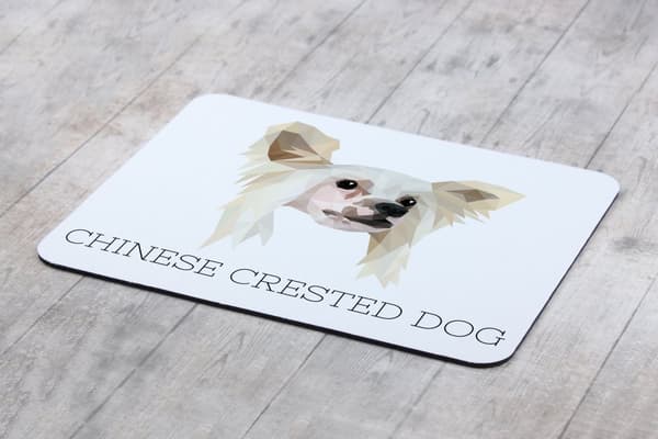 Chinese Crested Dog - en geometrisk dyna med ett foto och en inskription för Art-Dog-musen