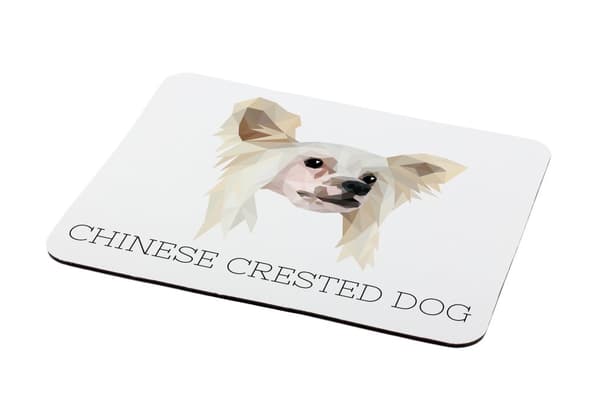Chinese Crested Dog - en geometrisk dyna med ett foto och en inskription för Art-Dog-musen
