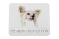 Miniatyrbild 1 av 4: Chinese Crested Dog - en geometrisk dyna med ett foto och en inskription för Art-Dog-musen