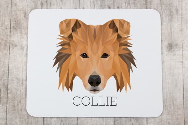 Långhårig skotsk herde, Collie grov - geometrisk dyna med ett foto och inskription för Art-Dog-musen