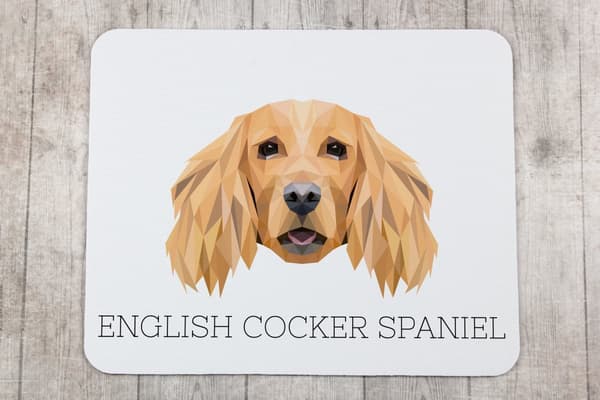 Engelsk Cocker Spaniel - geometrisk pude med foto og inskription til Art-Dog musen