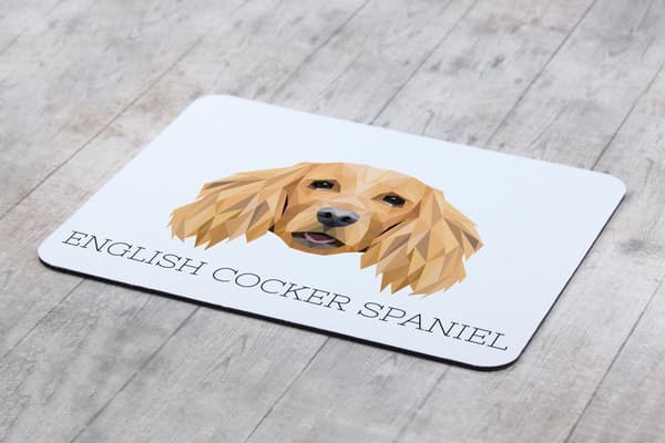 Engelsk Cocker Spaniel - geometrisk pude med foto og inskription til Art-Dog musen
