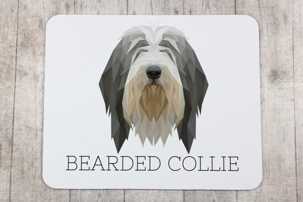 Bearded Collie, Highland Collie - en geometrisk pude med et foto og en inskription til Art-Dog-musen