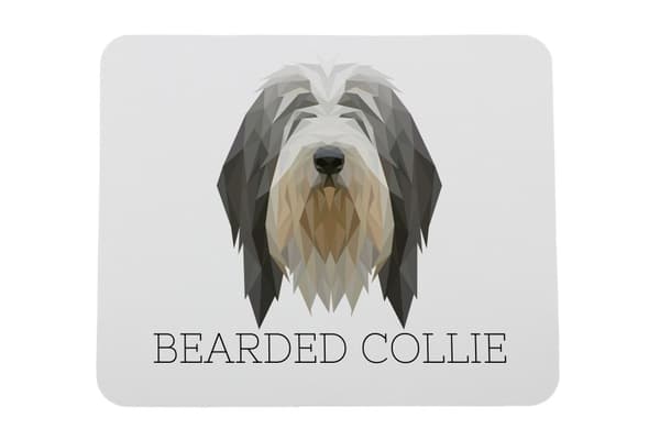 Bearded Collie, Highland Collie - en geometrisk pude med et foto og en inskription til Art-Dog-musen