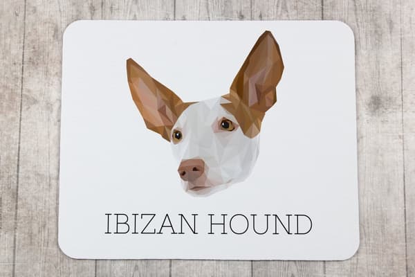 Podenco fra Ibiza, Podenco Ibicenco - geometrisk pude med foto og inskription til Art-Dog-musen