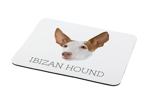 Podenco fra Ibiza, Podenco Ibicenco - geometrisk pude med foto og inskription til Art-Dog-musen