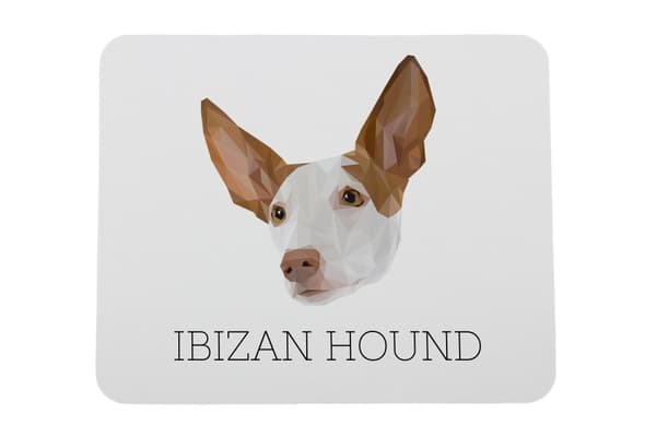 Podenco fra Ibiza, Podenco Ibicenco - geometrisk pude med foto og inskription til Art-Dog-musen