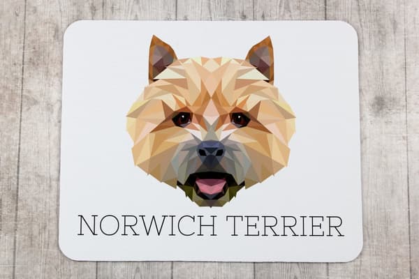 Norwich Terrier - en geometrisk dyna med ett foto och en inskription för Art-Dog-musen
