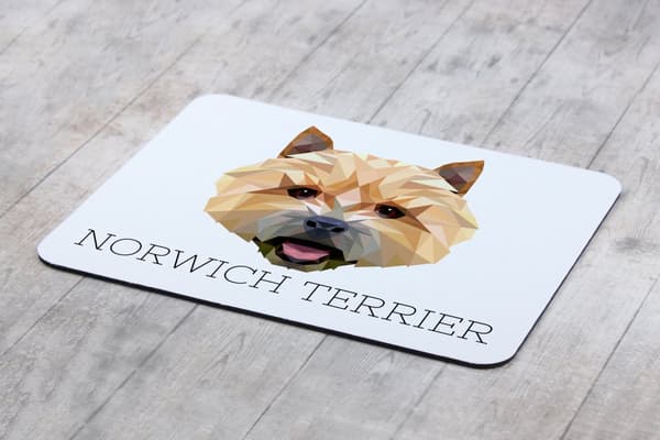 Norwich Terrier - en geometrisk dyna med ett foto och en inskription för Art-Dog-musen