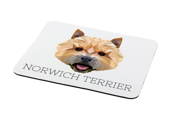 Norwich Terrier - en geometrisk dyna med ett foto och en inskription för Art-Dog-musen