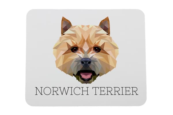 Norwich Terrier - en geometrisk dyna med ett foto och en inskription för Art-Dog-musen