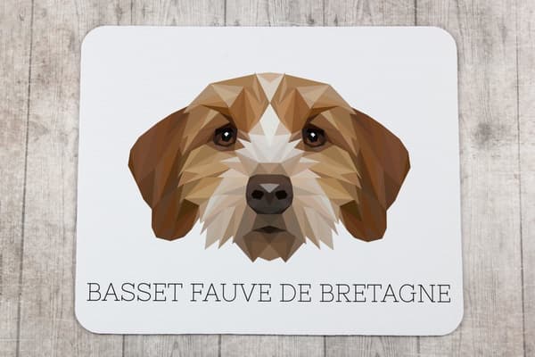 Breton Basset, Basset Fauve de Bretagne - geometrinen alusta, jossa on valokuva ja merkintä Art-Dog-hiirelle