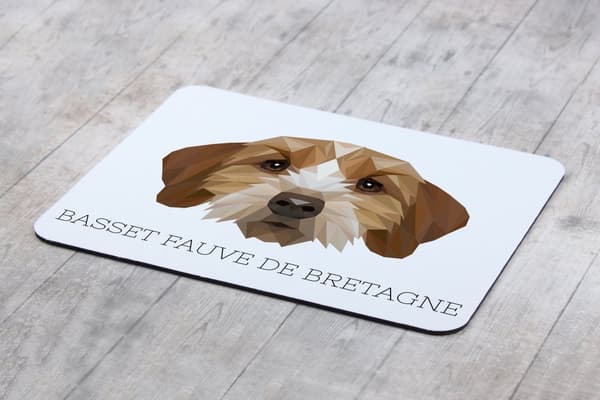 Breton Basset, Basset Fauve de Bretagne - geometrinen alusta, jossa on valokuva ja merkintä Art-Dog-hiirelle