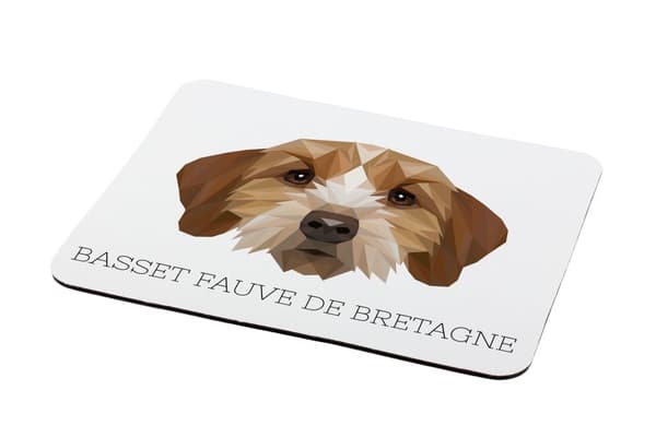 Breton Basset, Basset Fauve de Bretagne - geometrinen alusta, jossa on valokuva ja merkintä Art-Dog-hiirelle