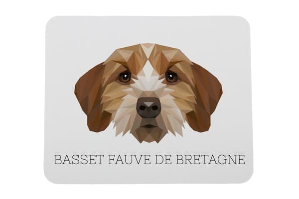 Breton Basset, Basset Fauve de Bretagne - geometrinen alusta, jossa on valokuva ja merkintä Art-Dog-hiirelle