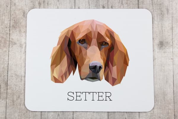 Engelsk Setter, Laverack - en geometrisk pude med et foto og en inskription til Art-Dog-musen