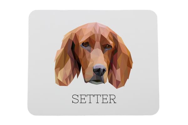 Engelsk Setter, Laverack - en geometrisk pude med et foto og en inskription til Art-Dog-musen