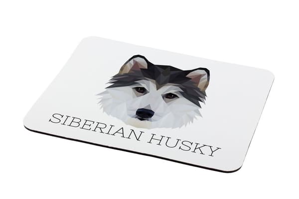 Siberian Husky, Siberian Husky - geometrisk pude med et foto og inskription til Art-Dog-musen